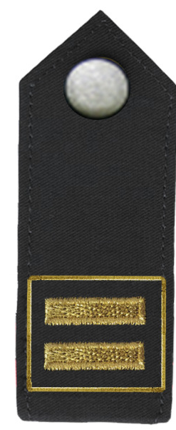 Schulterklappe Feuerwehr Bayern, Kreis- und Stadtbrandmeister