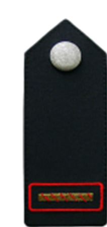 Schulterklappe FF Bayern, Funktionsabzeichen, Stv. Kommandant/-in